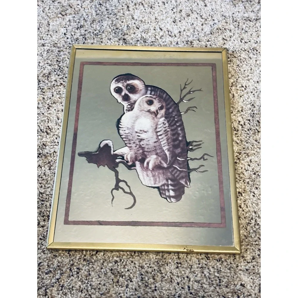 Vintage Snowy Owl‎ Wall Mirror Brytone 2D Etched Glass Art Retro MCM